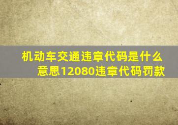 机动车交通违章代码是什么意思12080违章代码罚款