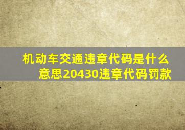 机动车交通违章代码是什么意思20430违章代码罚款