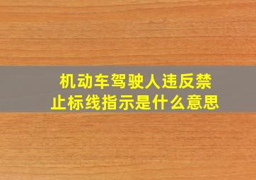 机动车驾驶人违反禁止标线指示是什么意思