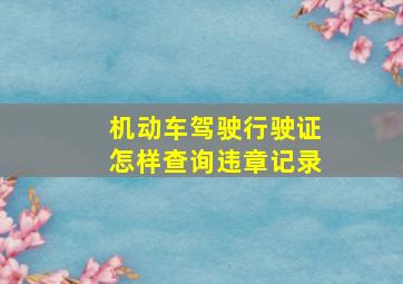 机动车驾驶行驶证怎样查询违章记录(