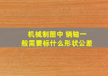 机械制图中 销轴一般需要标什么形状公差