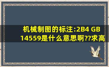 机械制图的标注:2B4 GB 14559是什么意思啊??求高手解答。