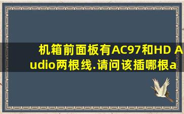 机箱前面板有AC97和HD Audio两根线.请问该插哪根/?