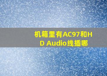 机箱里有AC97和HD Audio线插哪