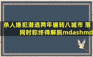 杀人嫌犯潜逃两年辗转八城市 落网时称终得解脱——中新网