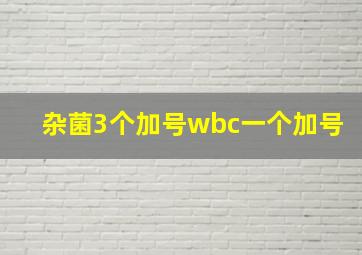 杂菌3个加号,wbc一个加号,