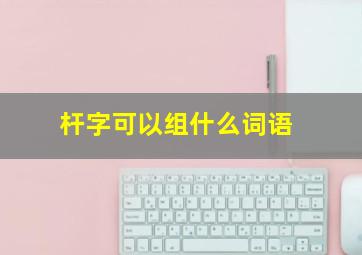 杆字可以组什么词语