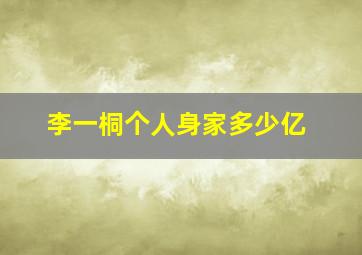 李一桐个人身家多少亿