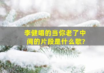 李健唱的当你老了中间的片段是什么歌?