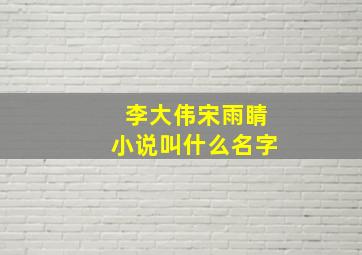 李大伟宋雨睛小说叫什么名字