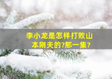 李小龙是怎样打败山本刚夫的?(那一集?)