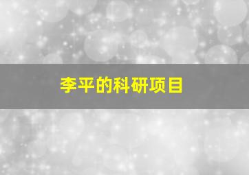 李平的科研项目