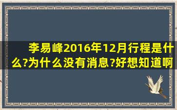 李易峰2016年1,2月行程是什么?为什么没有消息?好想知道啊!