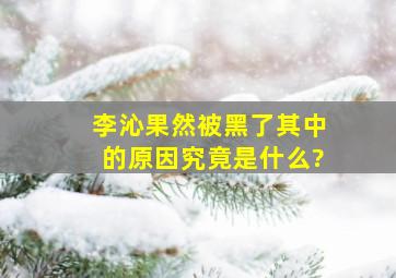 李沁果然被黑了,其中的原因究竟是什么?