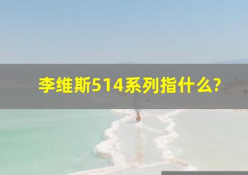 李维斯514系列指什么?