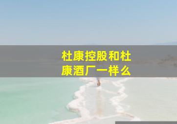 杜康控股和杜康酒厂一样么