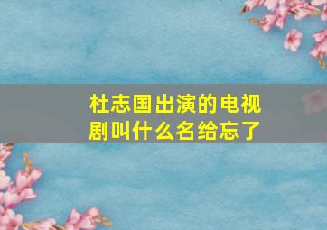 杜志国出演的电视剧叫什么名给忘了