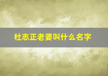 杜志正老婆叫什么名字