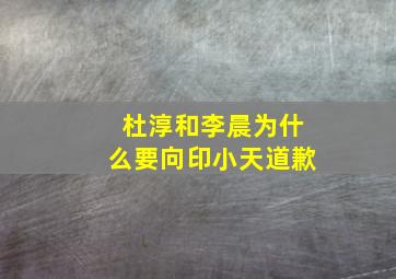 杜淳和李晨为什么要向印小天道歉