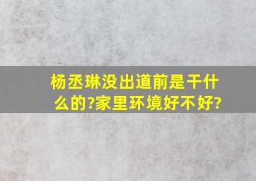 杨丞琳没出道前是干什么的?家里环境好不好?