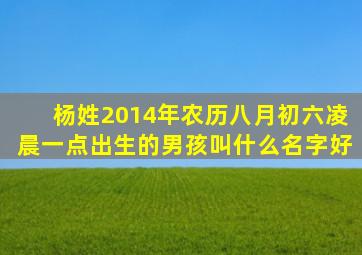 杨姓2014年农历八月初六凌晨一点出生的男孩叫什么名字好