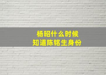 杨昭什么时候知道陈铭生身份