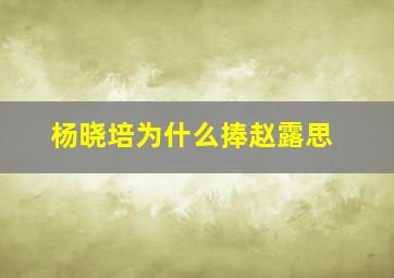 杨晓培为什么捧赵露思