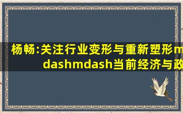 杨畅:关注行业变形与重新塑形——当前经济与政策思考(2021.4.5...