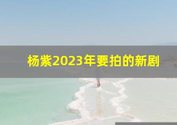 杨紫2023年要拍的新剧