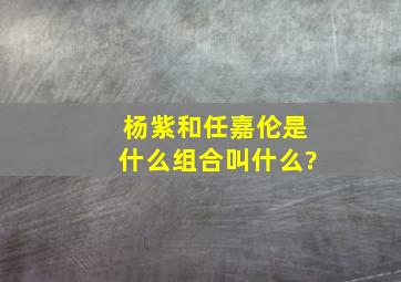 杨紫和任嘉伦是什么组合叫什么?