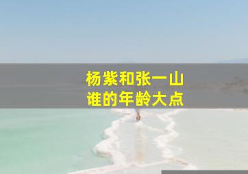 杨紫和张一山谁的年龄大点