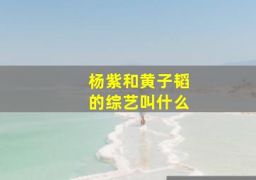 杨紫和黄子韬的综艺叫什么