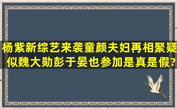 杨紫新综艺来袭,童颜夫妇再相聚,疑似魏大勋、彭于晏也参加,是真是假?