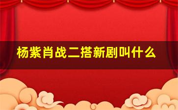 杨紫肖战二搭新剧叫什么