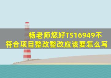 杨老师,您好,TS16949不符合项目整改整改应该要怎么写