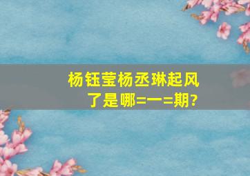 杨钰莹杨丞琳起风了是哪=一=期?