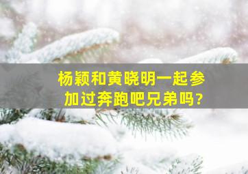 杨颖和黄晓明一起参加过奔跑吧兄弟吗?