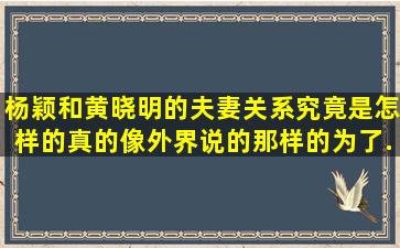 杨颖和黄晓明的夫妻关系究竟是怎样的,真的像外界说的那样的为了...