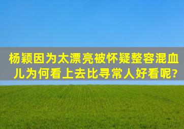 杨颖因为太漂亮被怀疑整容,混血儿为何看上去比寻常人好看呢?