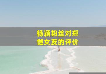 杨颖粉丝对郑恺女友的评价