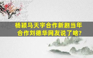 杨颖马天宇合作新剧,当年合作刘德华,网友说了啥?