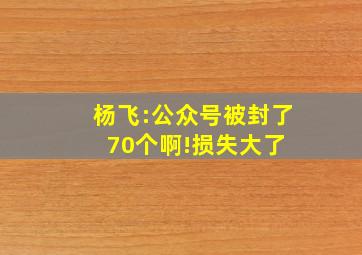 杨飞:公众号被封了,70个啊!损失大了 