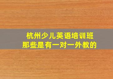 杭州少儿英语培训班那些是有一对一外教的(