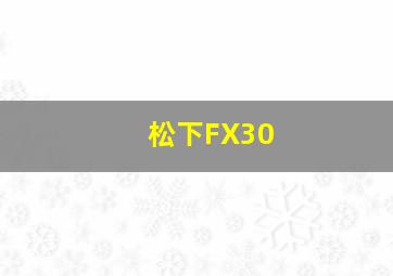 松下FX30