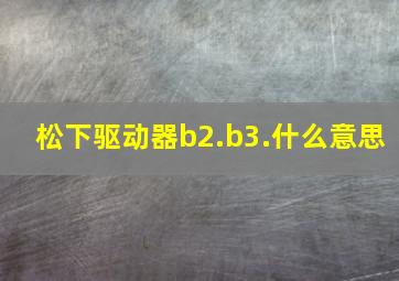 松下驱动器b2.b3.什么意思