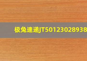 极兔速递JT5012302893812