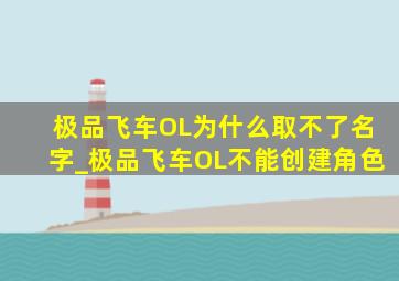 极品飞车OL为什么取不了名字_极品飞车OL不能创建角色