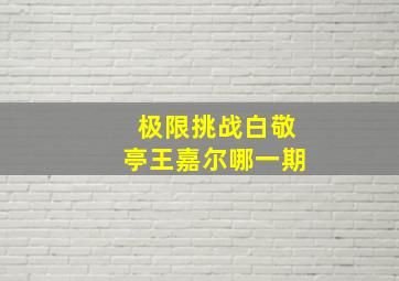 极限挑战白敬亭王嘉尔哪一期