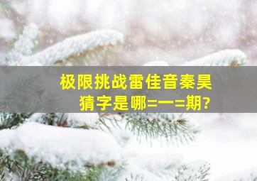 极限挑战雷佳音秦昊猜字是哪=一=期?