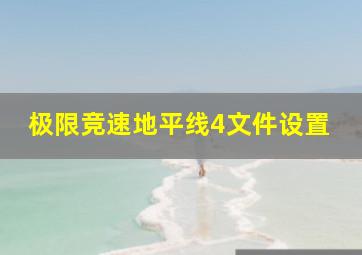 极限竞速地平线4文件设置